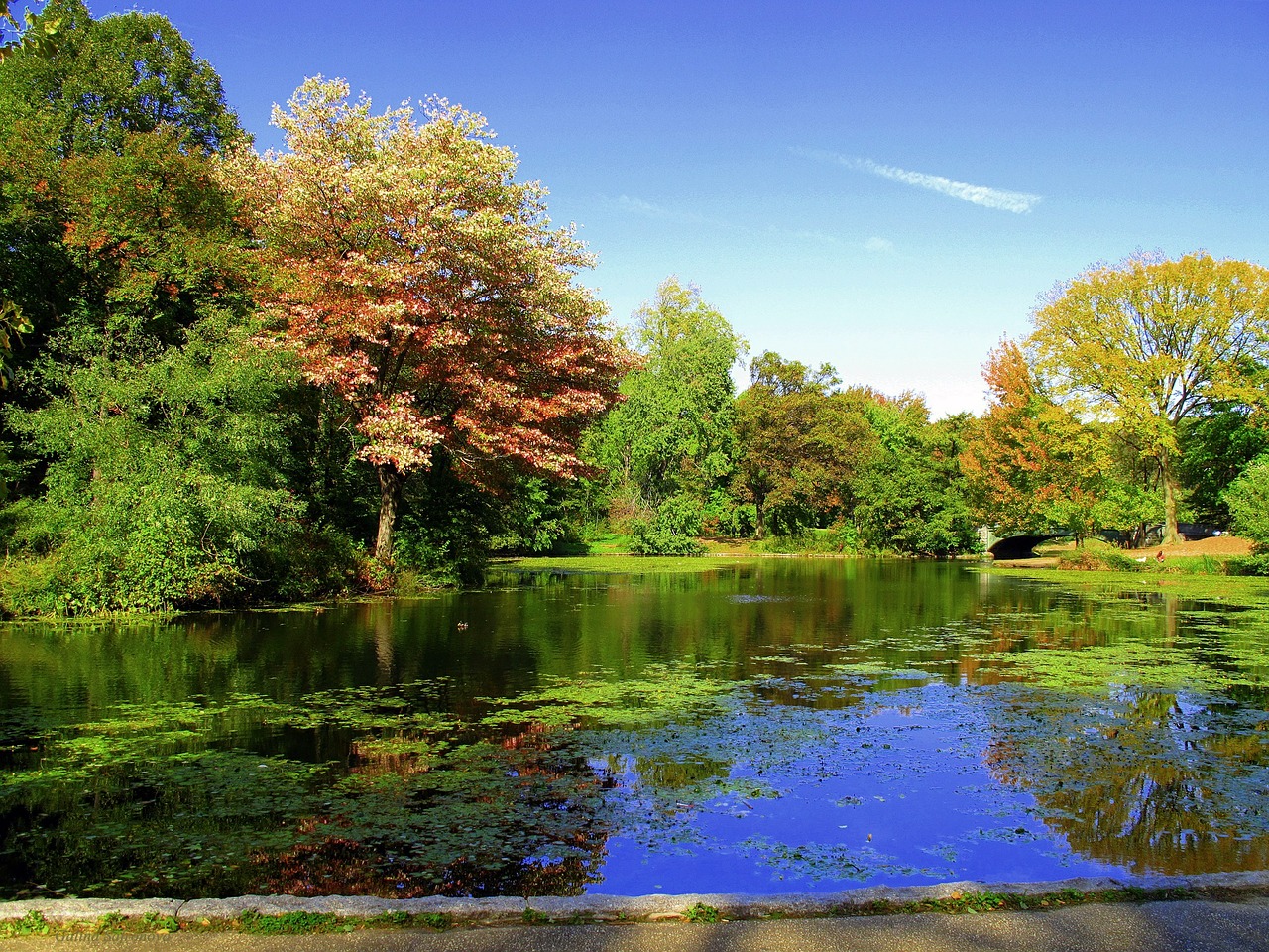 Prospect Park